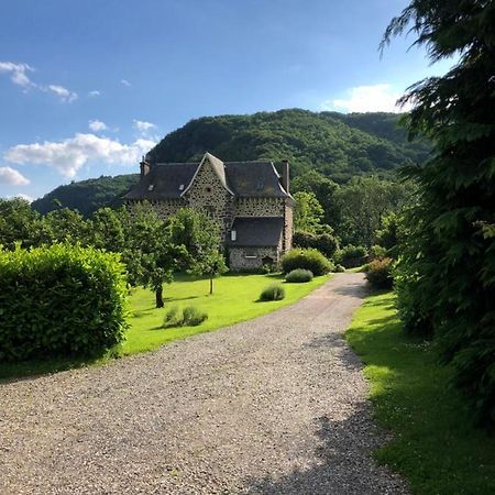 Le Figarelou Bed & Breakfast Thiézac Dış mekan fotoğraf