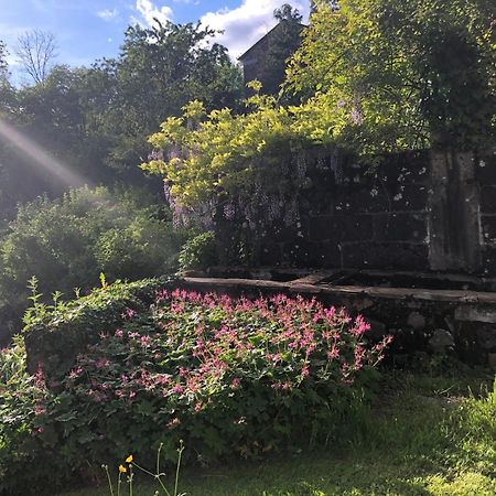 Le Figarelou Bed & Breakfast Thiézac Dış mekan fotoğraf
