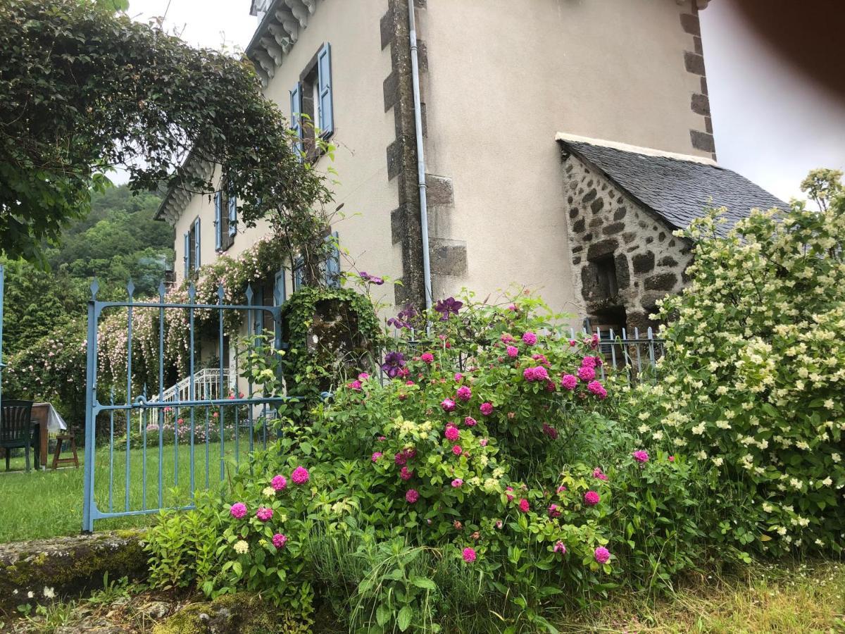 Le Figarelou Bed & Breakfast Thiézac Dış mekan fotoğraf