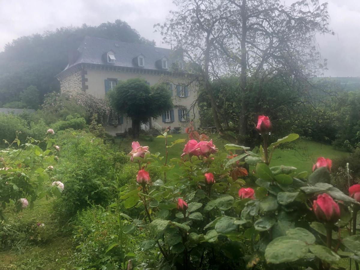 Le Figarelou Bed & Breakfast Thiézac Dış mekan fotoğraf